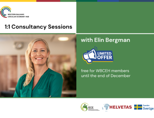 1:1 Consultancy Sessions with Elin Bergman – Creating High-Value Support for WBCEH Members